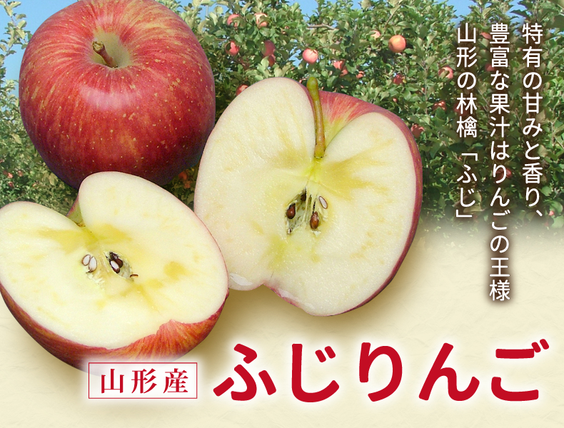 ふじりんご 特有の甘みと香り、豊富な果汁はりんごの王様 山形の林檎「ふじ」