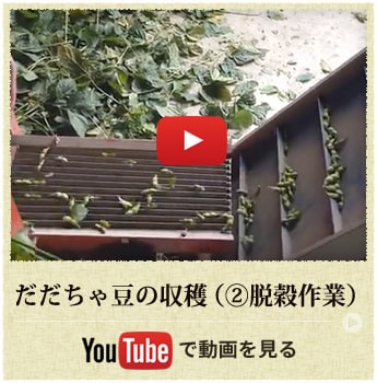 だだちゃ豆の収穫（②脱穀作業）動画を見る