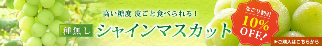 シャインマスカット購入はこちらから