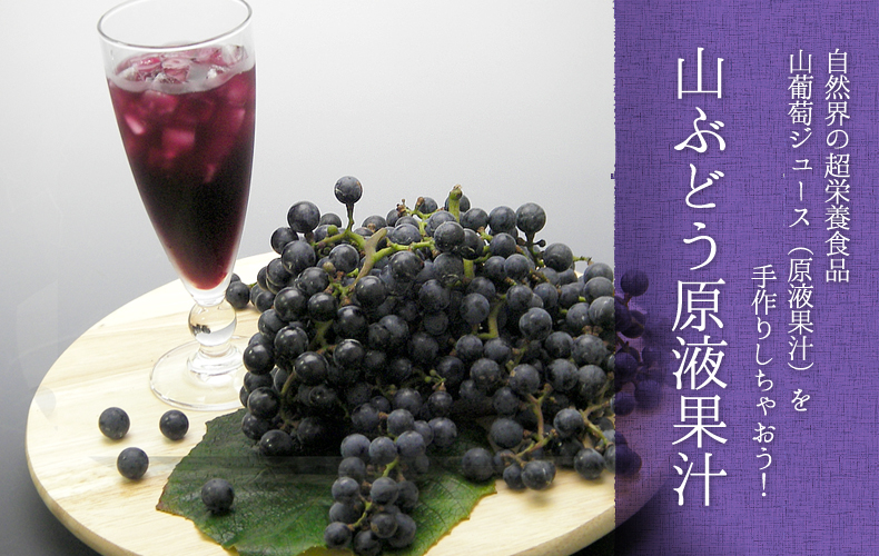 自然界の超栄養食品　山葡萄ジュース（原液果汁）を手作りしちゃおう！