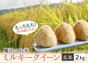 ミルキークィーン玄米2kg