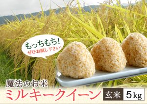 ミルキークィーン玄米5kg