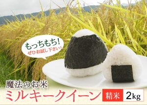 ミルキークィーン精米2kg