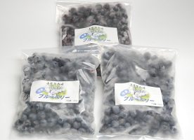 冷凍無農薬栽培ブルーベリー300g×3袋