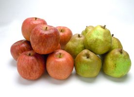 フルーツ王国山形代表のラフランスとふじりんご