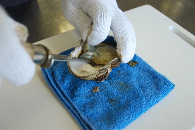 岩牡蠣の開け方　下側の貝柱を切る