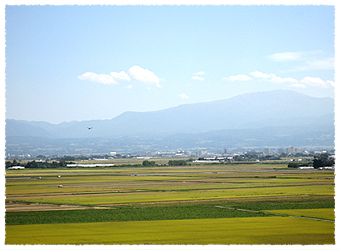 お米の産地山形県