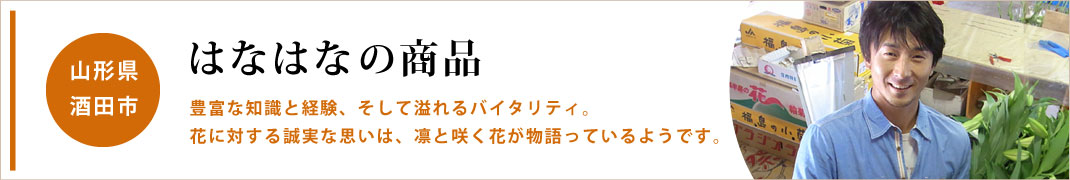 はなはなさん