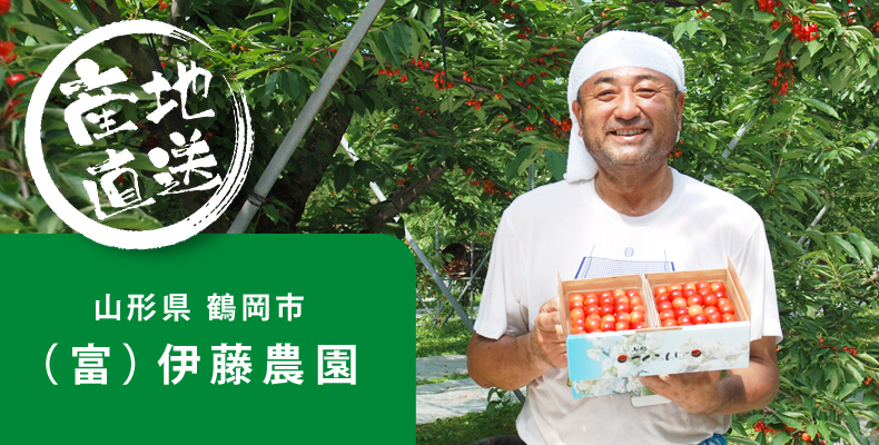 (富)伊藤農園さんの紹介