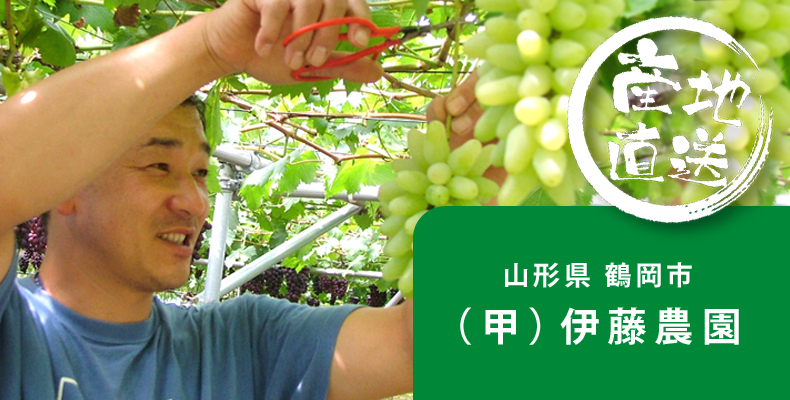 一押し生産者 伊藤農園(甲)さんの紹介