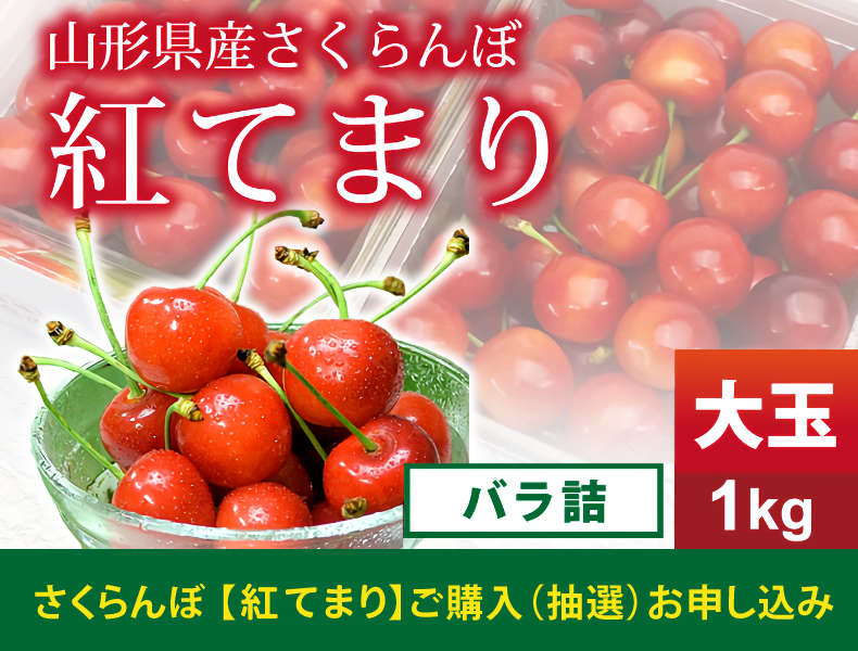 紅てまりお申し込み受付け