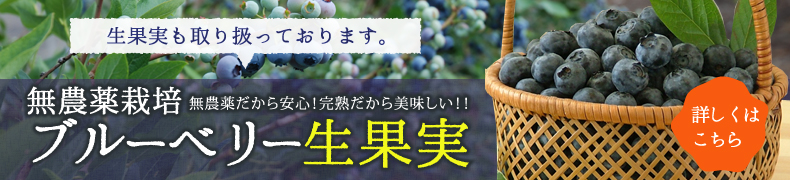 ブルーベリー生果実はこちらから
