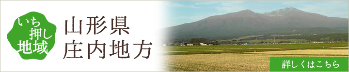 山形県庄内地方