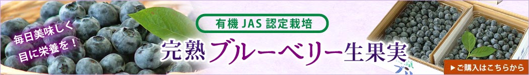 ブルーベリー