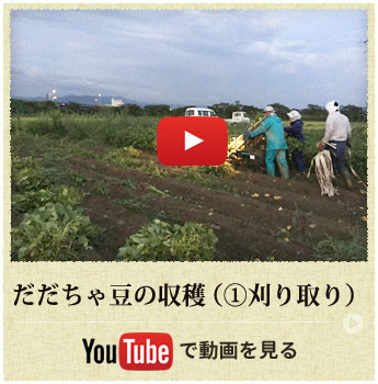 だだちゃ豆の収穫（①刈り取り）動画を見る