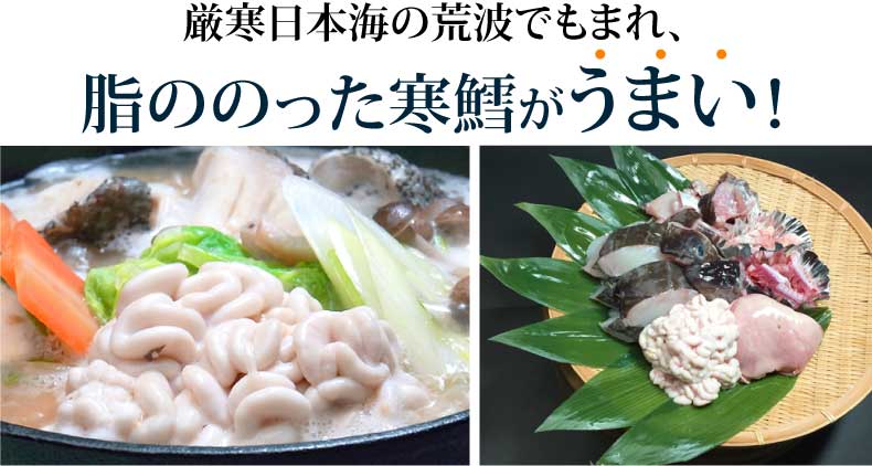 厳寒日本海の荒波でもまれ、脂ののった寒鱈で作る「どんがら汁」がうまい！