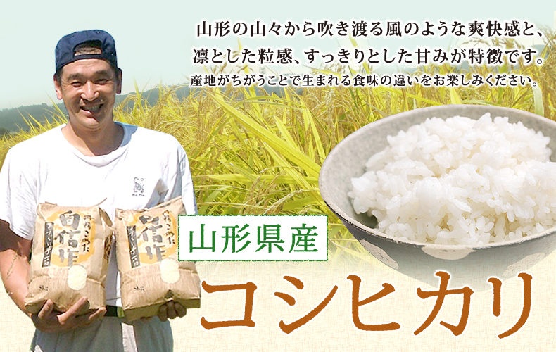 山形県産コシヒカリ