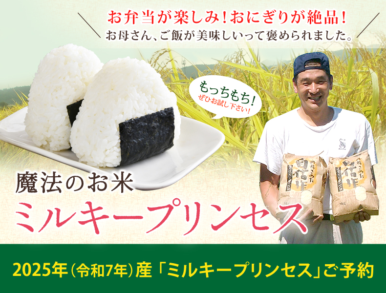 2025年（令和7年）産「ミルキープリンセス」ご予約
