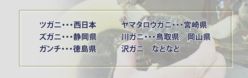 呼び方リスト