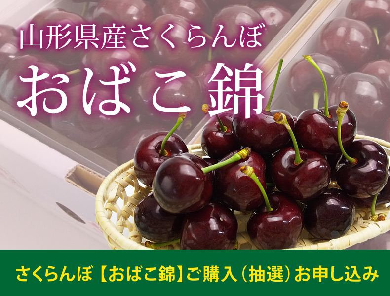おばこ錦お申し込み受付け