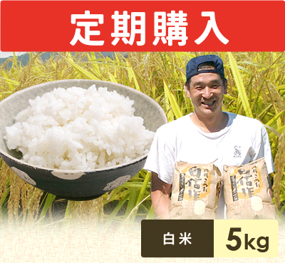 伊藤農園のコシヒカリ定期購入