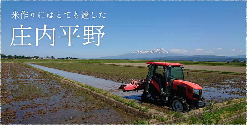 米作りにはとても適した庄内平野
