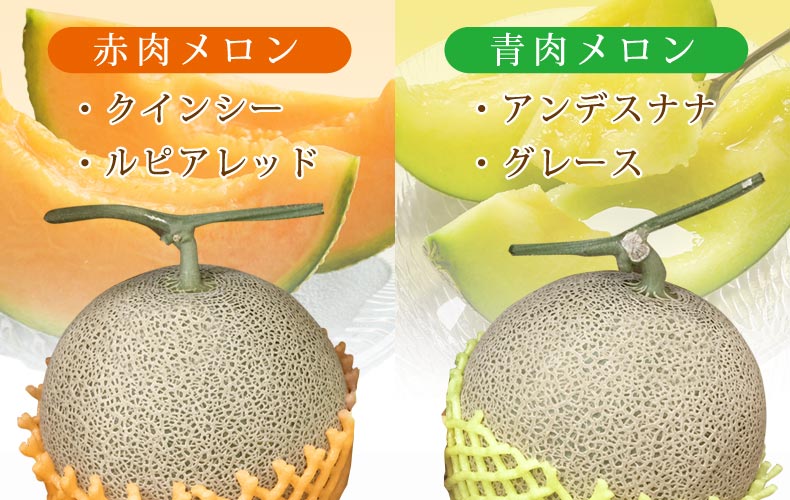 メロン品種