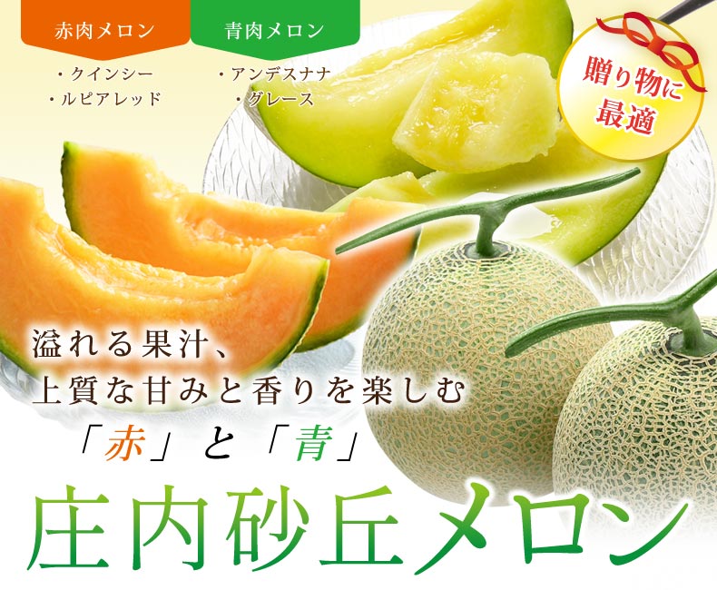 庄内砂丘メロン