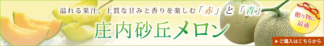 庄内砂丘メロン