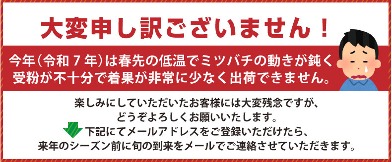 今年（令和7年）は春先の低温でミツバチの動きが鈍く受粉が不十分で着果が非常に少なく出荷できません。
