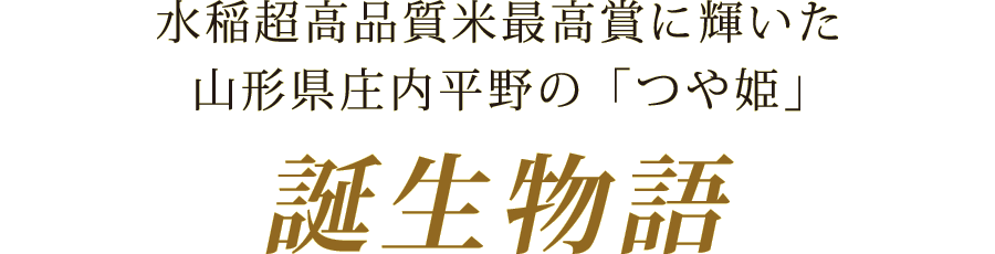 水稲超高品質米最高賞に輝いた山形県庄内平野の「つや姫」誕生物語