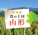 山形の旬紹介