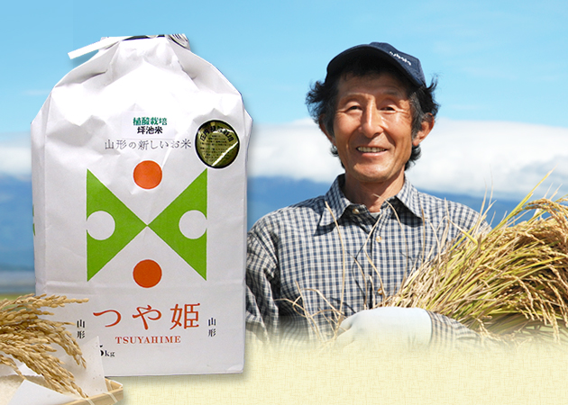 植酸栽培米つや姫