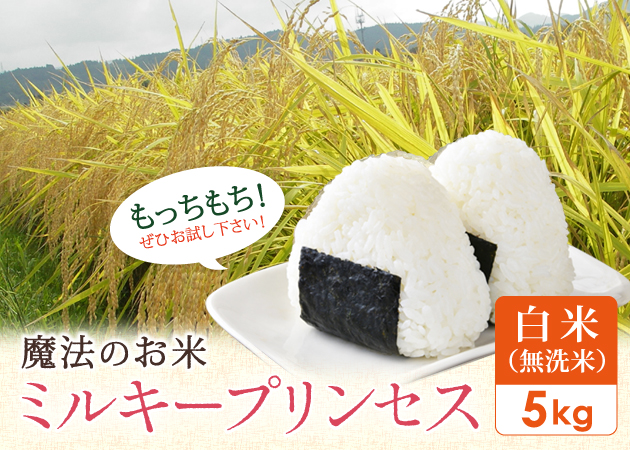 2025年産ミルキープリンセス(白米・無洗米)5kg購入ページへ