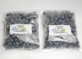 冷凍無農薬栽培ブルーベリー300g×2袋