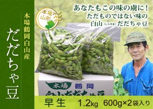 森屋多七白山だだちゃ豆(早