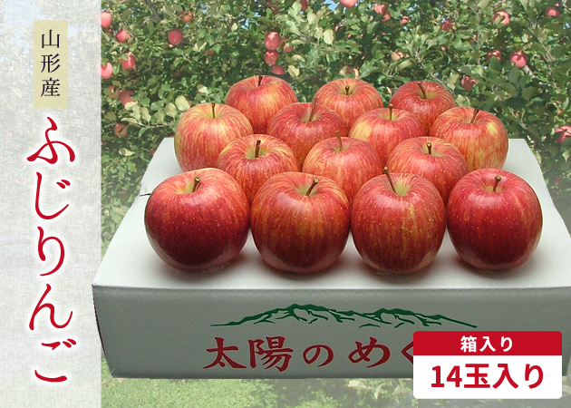 りんご サンふじ 蜜入り 通信 販売 | 旬旬食彩ダイニング