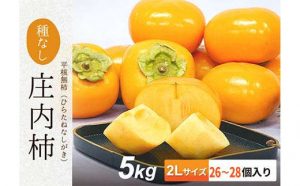 庄内柿２L 5kg