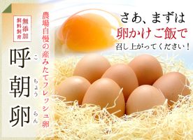 無添加飼料飼育の卵