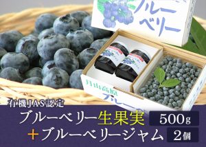 ブルーベリー 生果実 有機JAS認定 通信 販売 産地直送 | 旬旬食彩