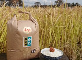 自然栽培米生産者【作ぜん】-2