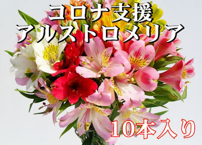 コロナ支援アルストロメリア10本入り