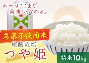 つや姫無農薬10㎏