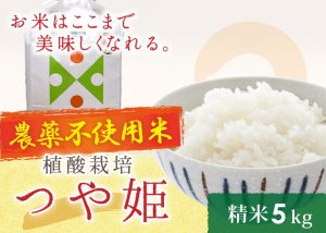 つや姫無農薬5㎏