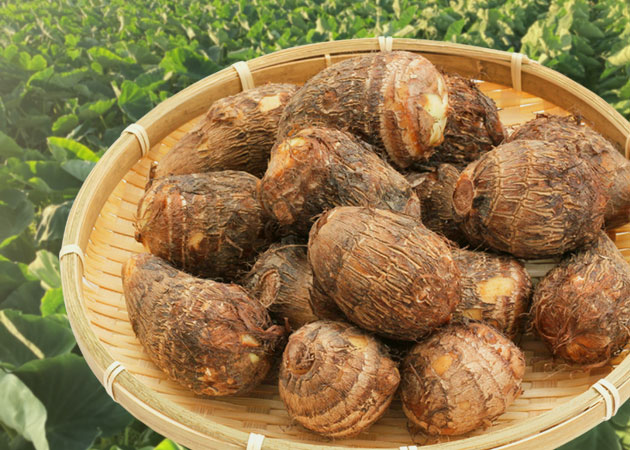 砂丘育ち 皮付き大玉里芋商品ページへ移動