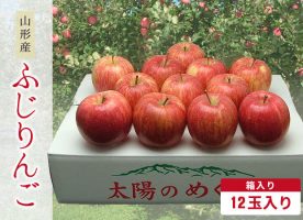 ふじりんご12玉入り商品画像