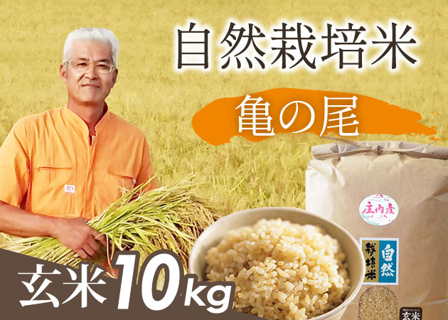 自然栽培米 亀の尾 玄米10㎏