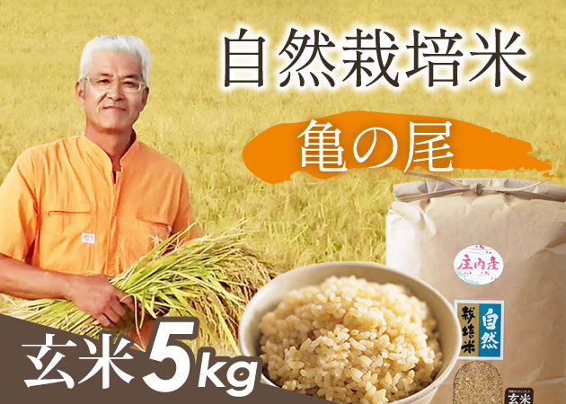 自然栽培米 亀の尾 玄米5㎏
