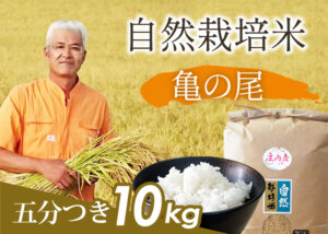 自然栽培米 亀の尾 五分づき10㎏