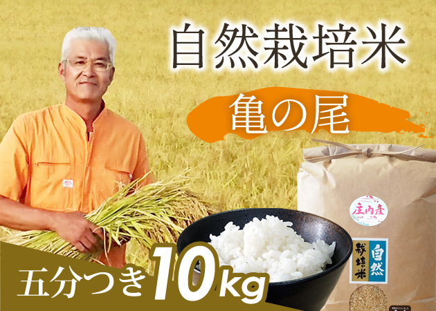 自然栽培米 亀の尾 五分づき10㎏
